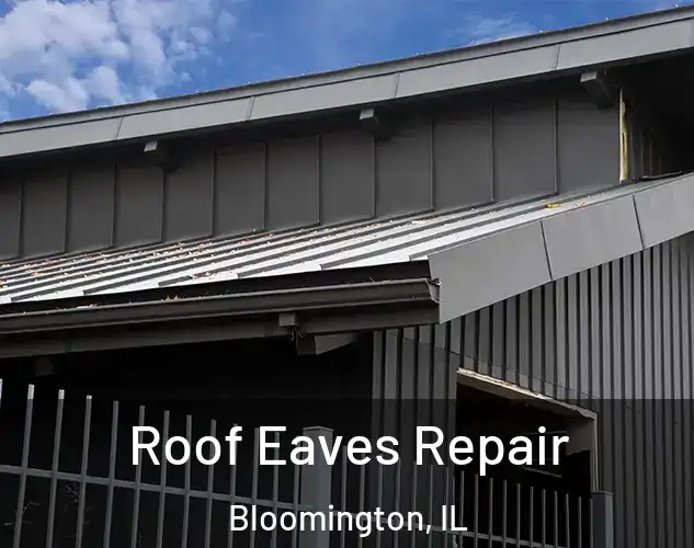  Roof Eaves Repair Bloomington, IL