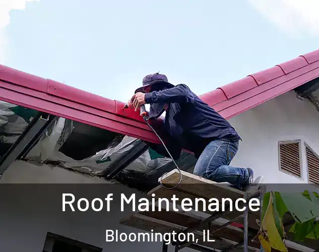  Roof Maintenance Bloomington, IL