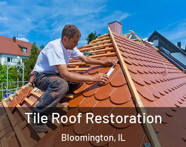  Tile Roof Restoration Bloomington, IL